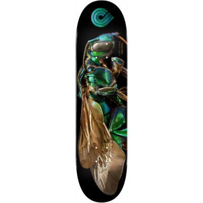 Powell Peralta Biss Cuckoo Bee Skateboard Deck